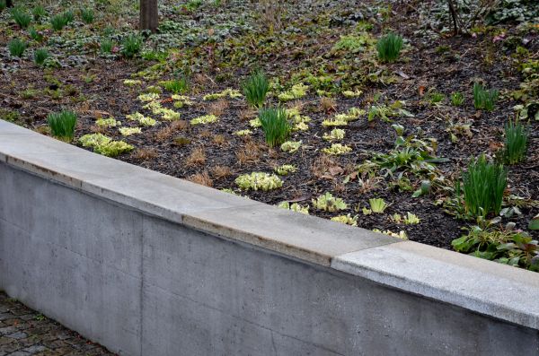 Cost of Concrete Wall Construction in Ellicott City