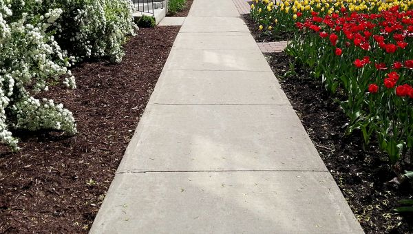 Cost of Sidewalk Slab Replacement in Ellicott City